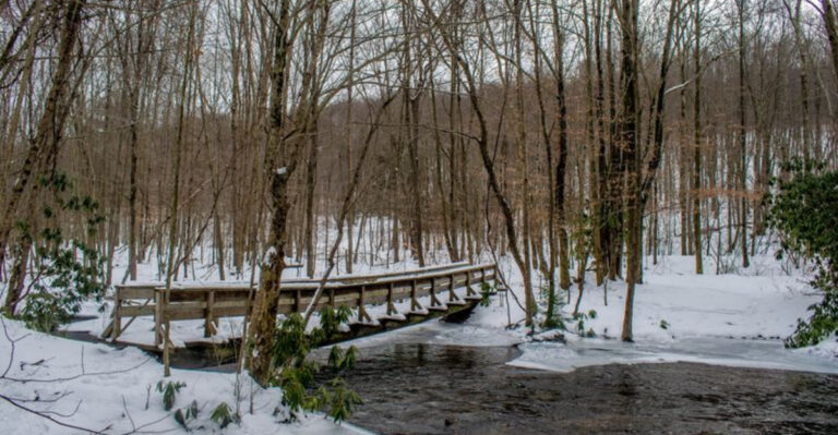 This Pennsylvania State Park Covers a Lot of Ground Yet Remains an Enigma