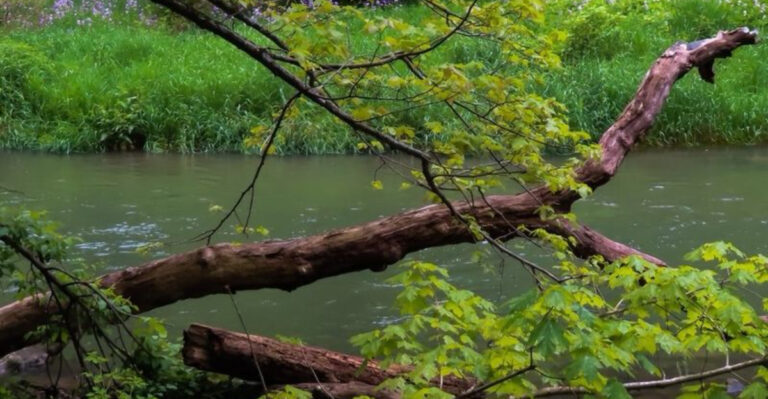 This Pennsylvania Town Is The Kind Of Place Where Nobody Seems In A Rush