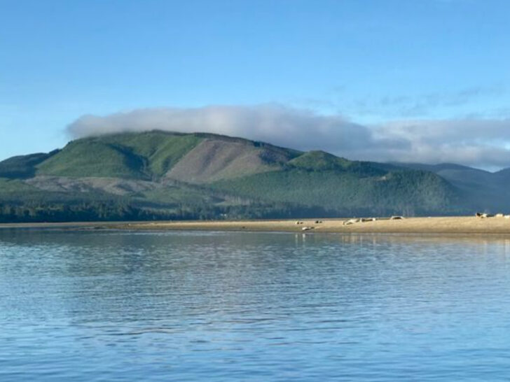This Quiet Oregon Beach Town Is Just Waiting to Be Explored