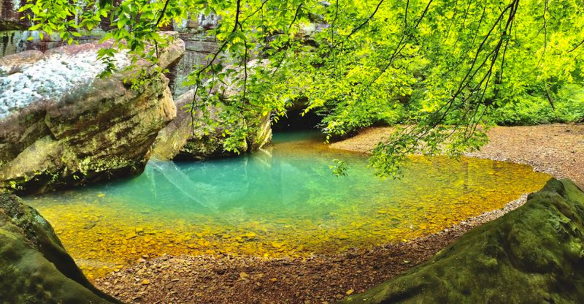 This Scenic 1 2 Mile Trail In Illinois Leads To A Gorgeous Hidden This Scenic 12 Mile Trail In Illinois Leads To A Gorgeous Hidden Swimming Hole 