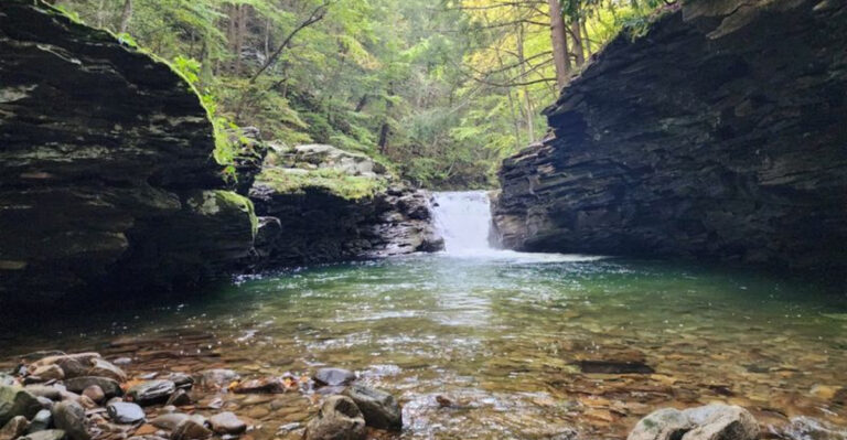 This Secluded Pennsylvania Swimming Hole Feels Like A Hidden Gem