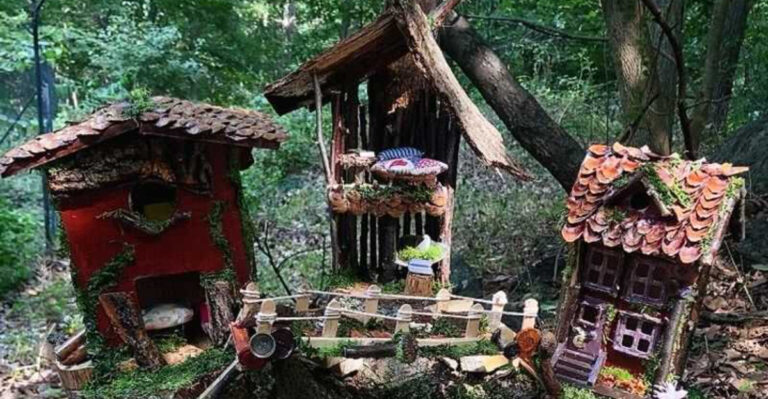 This Short New Jersey Trail Turns an Ordinary Family Hike Into a Narnia-Like Adventure