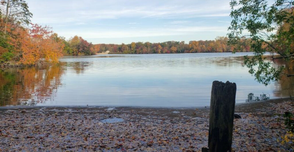 This South Jersey Park Has 15 Miles Of Trails Through Some Of New Jersey’s Most Unusual Terrain