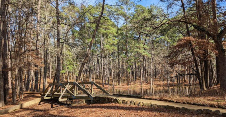 This Spanish State Park in Texas Is Known for Pines for Miles and a Historic Trail