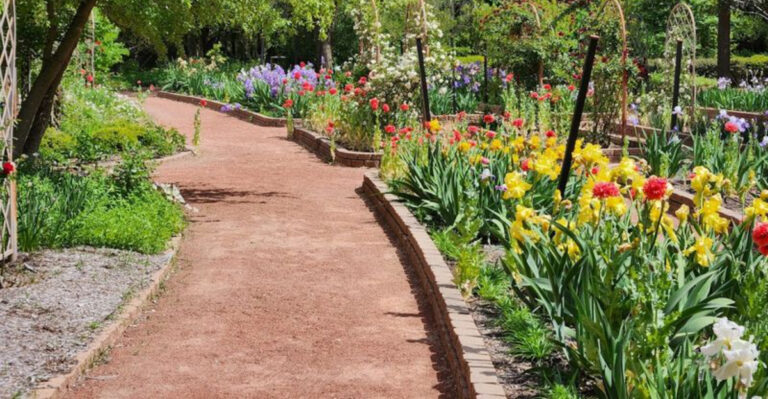 This Sprawling Texas Garden Hides Stunning Waterfalls and a Secret You Won’t Expect