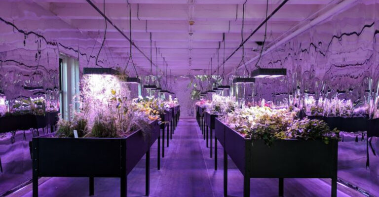 This Stunning Art Museum In Pennsylvania Looks Like It’s From Another Planet