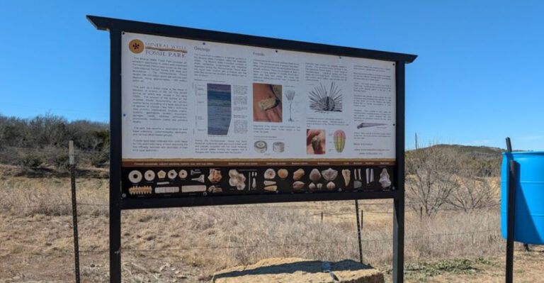 This Texas Fossil Park Lets You Dig Up 300-Million-Year-Old Treasures