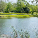 This Texas Lake Lets You Fish for Free Without a License and Few People Know About It