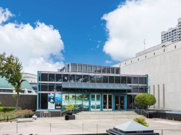 This Texas Museum Offers Free Admission Every Week and Locals Love It