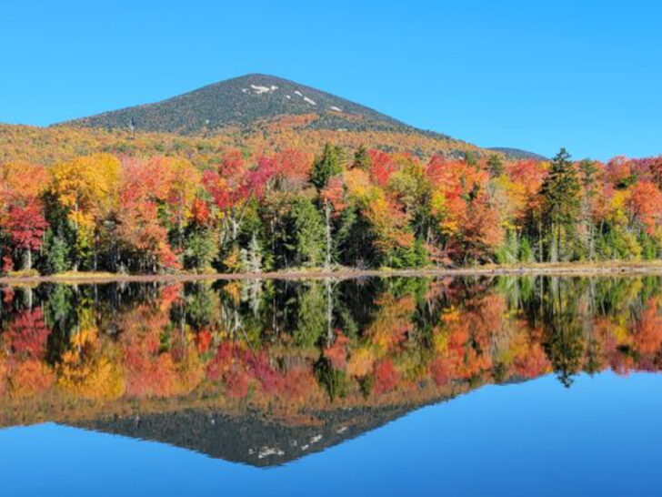 This Underrated Lake in New York Is So Unknown You’ll Practically Have It to Yourself