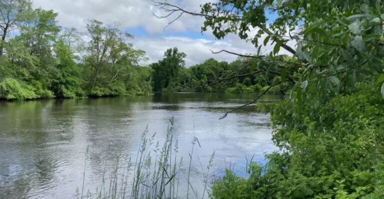 This Underrated New Jersey State Park Is Hiding in Plain Sight