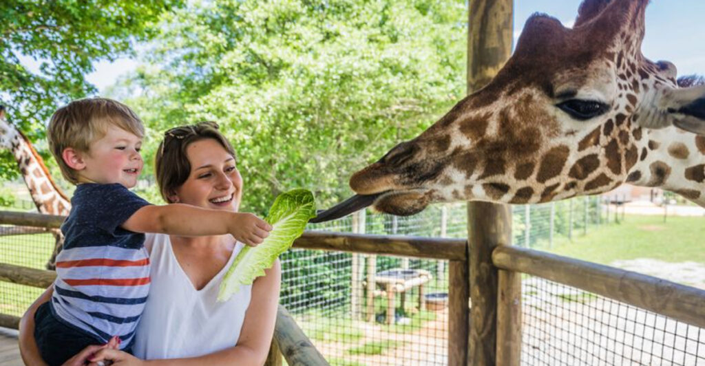 This Unique Alabama Wildlife Ranch Brings You Close to Gentle Giants