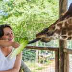 This Unique Alabama Wildlife Ranch Brings You Close to Gentle Giants
