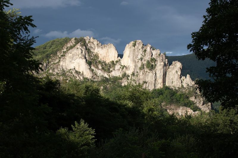 Seneca Shadows Campground (Seneca Rocks)