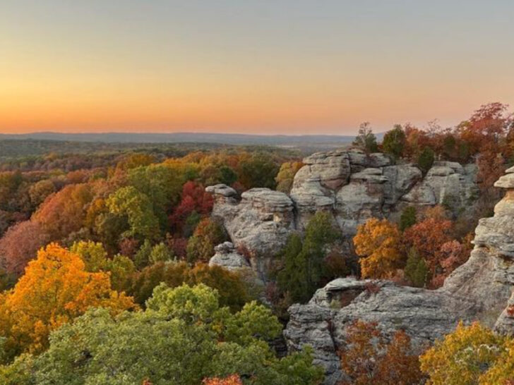 Trade the City for Calm at These 15 Illinois Nature Getaways in 2026
