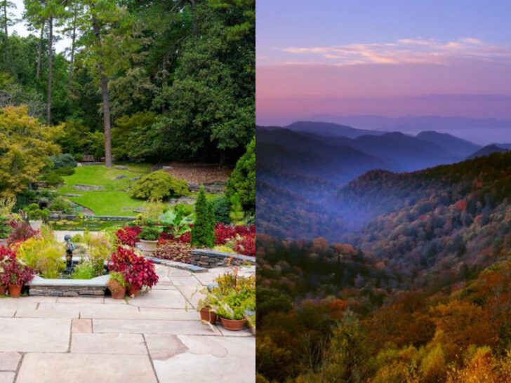Travel for Less at These 9 Incredible North Carolina Road Trip Spots
