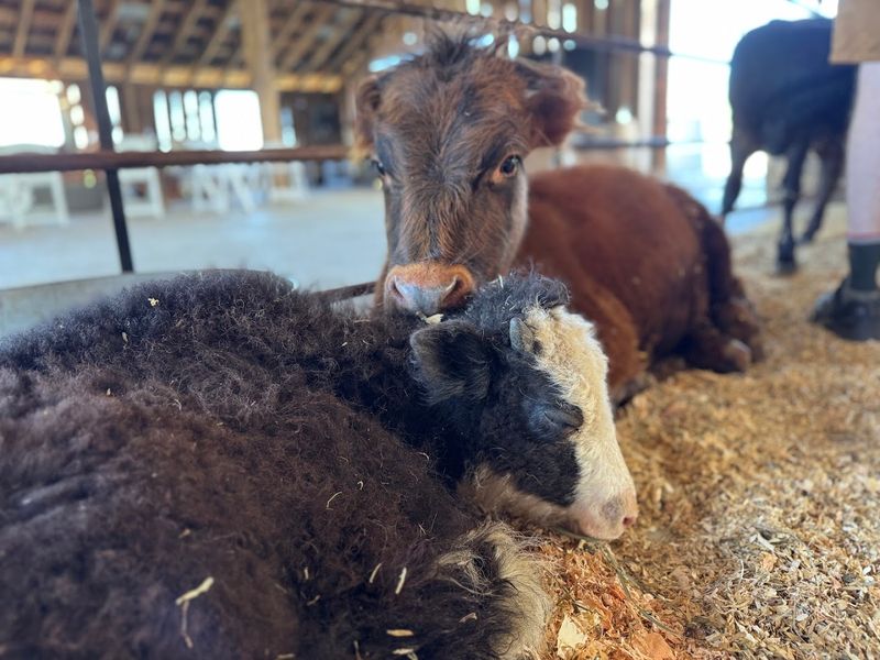 Family-Friendly Tips For Your Visit