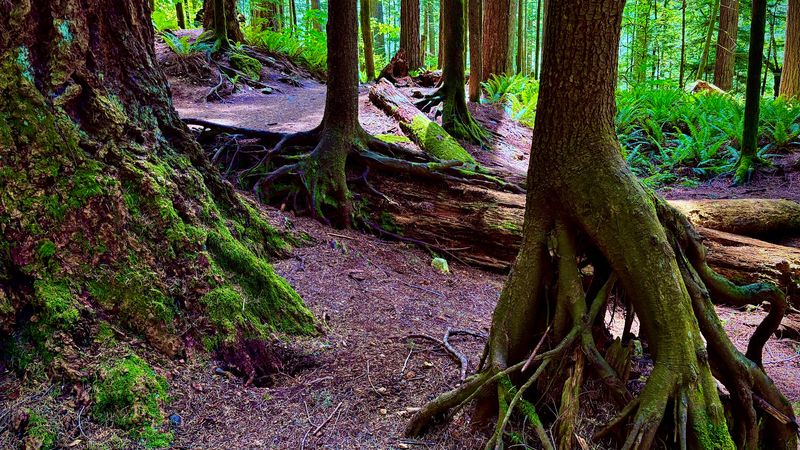 What To Pack For A Happy 2.6 Miles