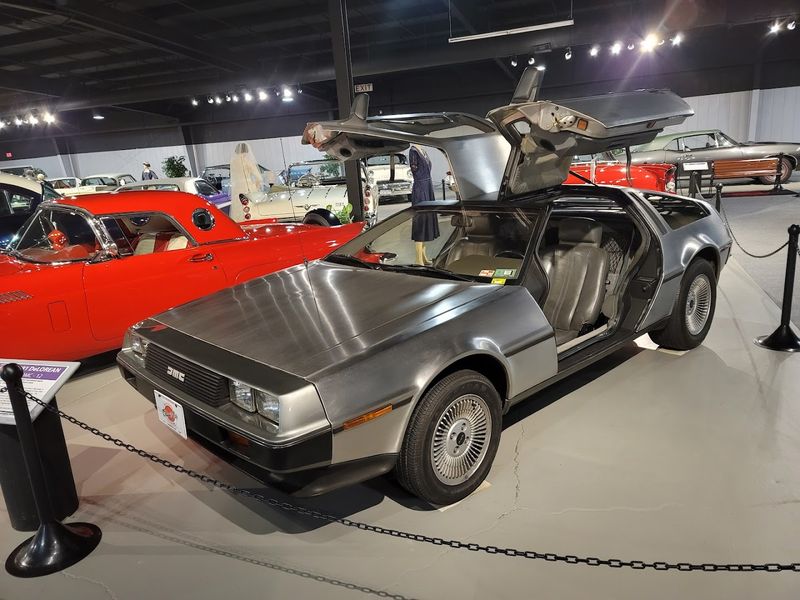 Rotating Exhibits That Keep You Curious