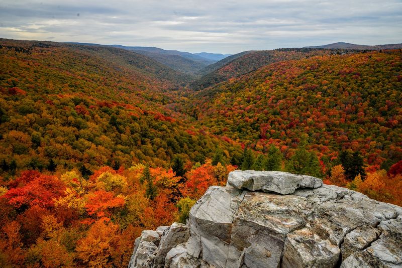 Dolly Sods Wilderness (Monongahela National Forest)