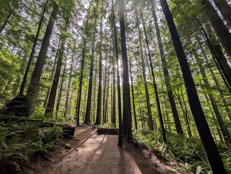 First Stretch: Riverside Warmup And Forest Calm