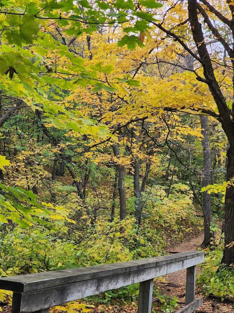 Sica Hollow State Park (Sisseton)