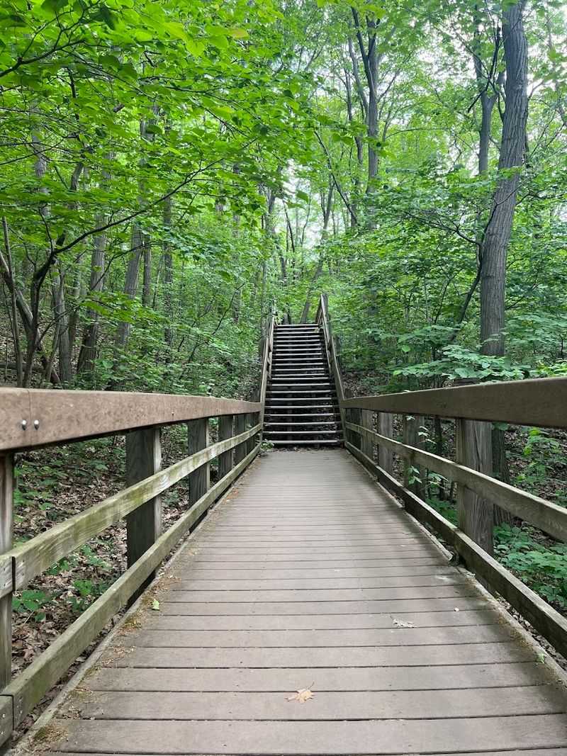 Trail 2 (Indiana Dunes State Park)