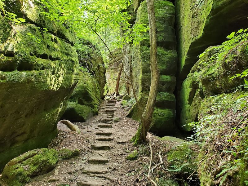 Dismals Canyon (Phil Campbell)