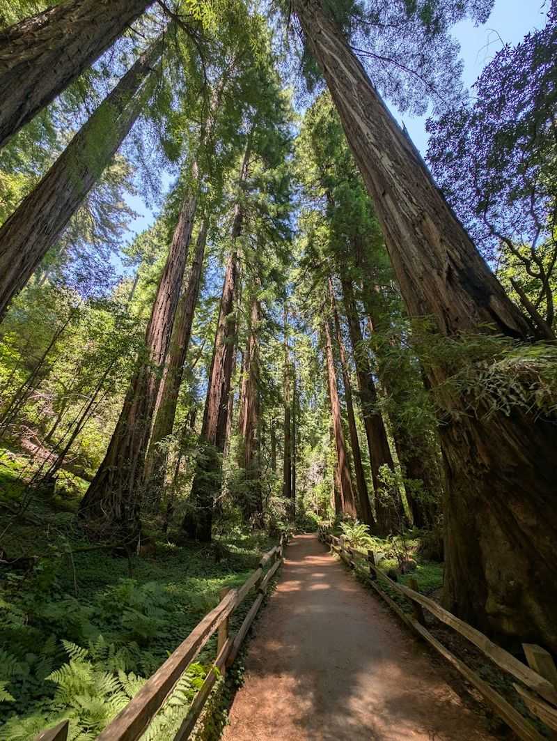 How to Experience This Trail Like a Pro
