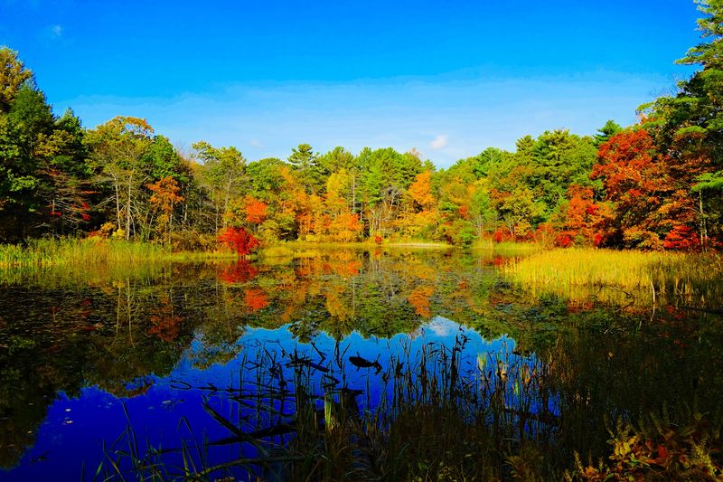 Blue Hills &ndash; Skyline Trail (Quincy)