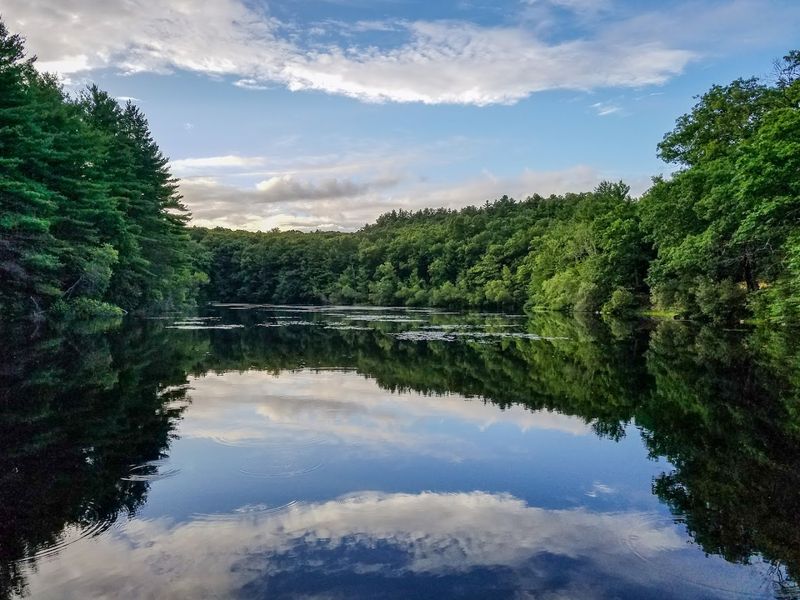 Rocky Woods Reservation (Medfield)