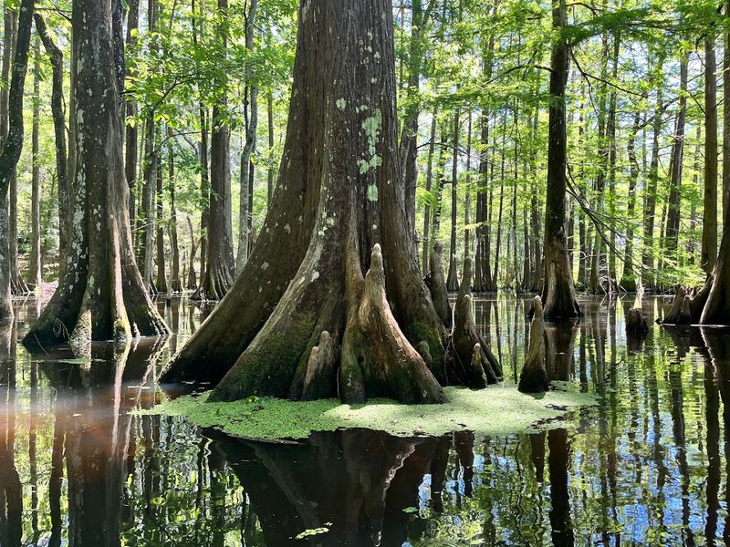 For Photo Lovers, This Place Keeps Delivering