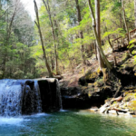 10 Forgotten Coal Towns in Tennessee That Once Powered the South