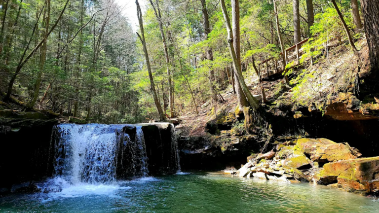 10 Forgotten Coal Towns in Tennessee That Once Powered the South