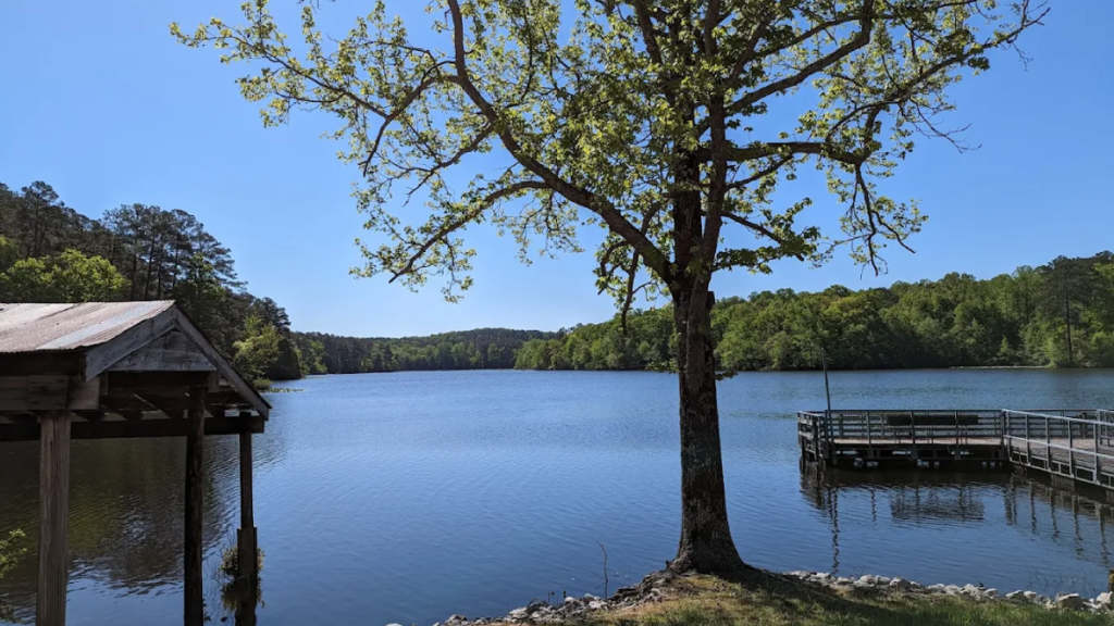 10 Of Tennessee's Biggest State Parks Prove That Sometimes Bigger Really Is Better