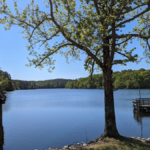 10 Of Tennessee's Biggest State Parks Prove That Sometimes Bigger Really Is Better