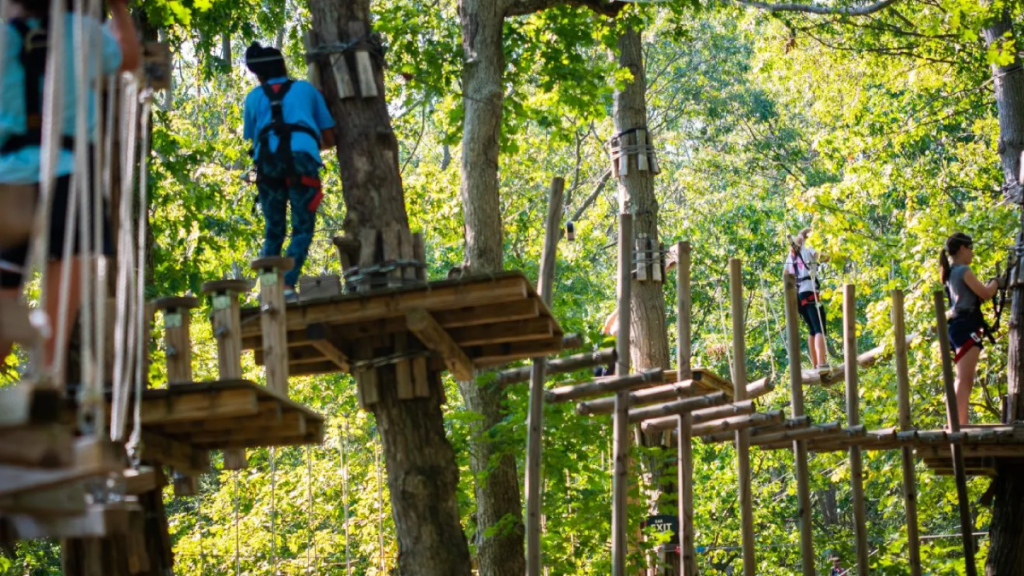 10 Tennessee Family Adventure Parks With Sky-High Ziplines And Treetop Courses