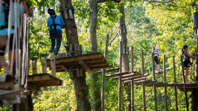 10 Tennessee Family Adventure Parks With Sky-High Ziplines And Treetop Courses