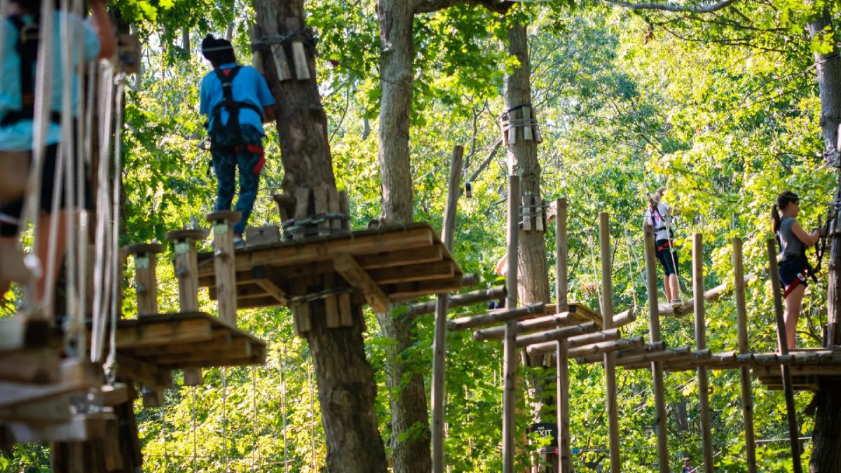 10 Tennessee Family Adventure Parks With Sky-High Ziplines And Treetop Courses