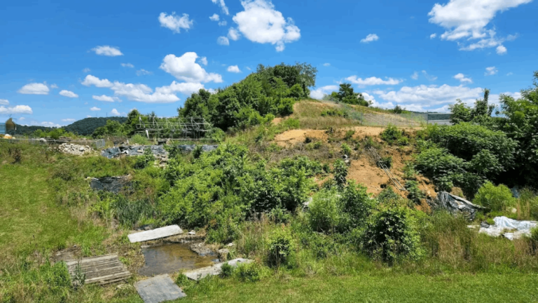 10 Tennessee Rockhounding Spots Packed With Fascinating Rocks, Fossils, and Natural Treasures