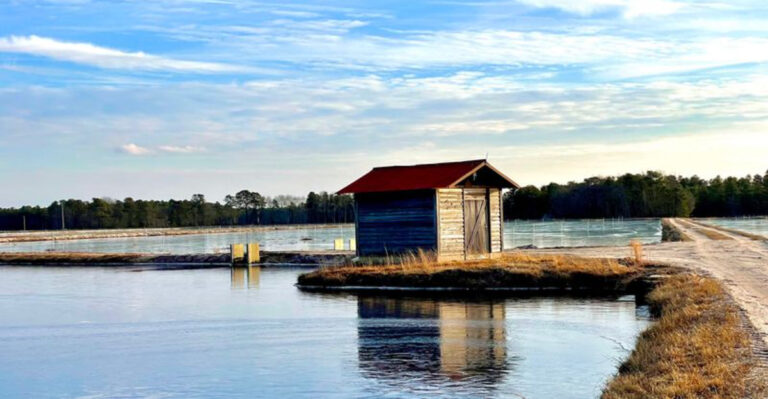 10 New Jersey Ghost Towns You Can Still Visit Without Trespassing