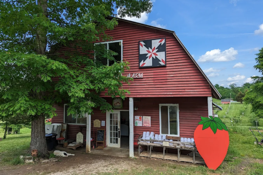 11 Tennessee Farms Where You Can Meet Animals, Pick Produce, and Slow Down