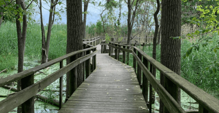 11 Easy Ohio Hikes Perfect For Beginners To Conquer