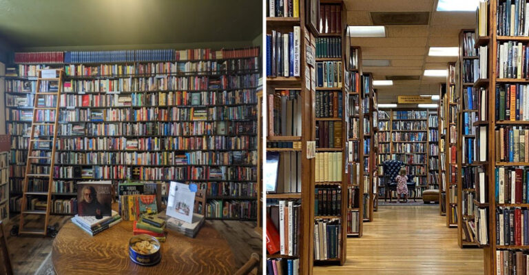 11 Must-Visit Used Bookstores Across Colorado Readers Can’t Stop Talking About