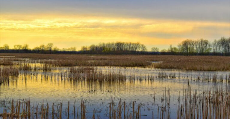 11 Ohio Wildlife Areas Worth Visiting For A Perfect Spring Day Trip