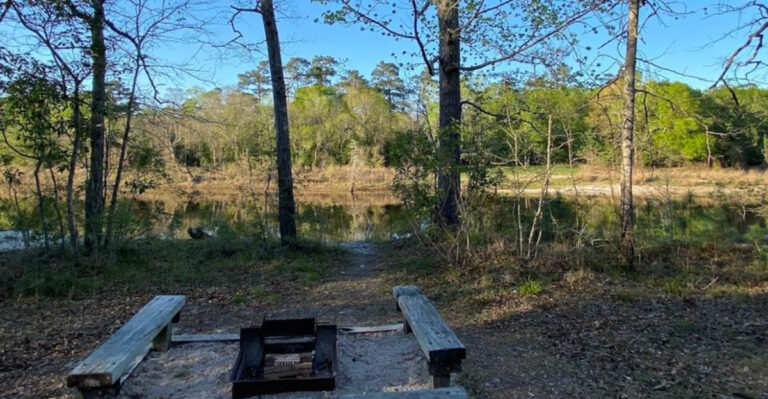 11 Secret Texas Picnic Spots So Beautiful Locals Keep Them Hidden