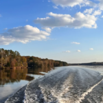 12 Gorgeous Tennessee State Parks to Explore This May Before Peak Season Hits