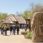 12 Interactive Tennessee Experiences That Make the Perfect Day Trip
