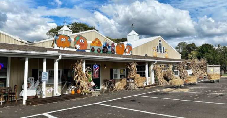 12 Ohio Farm Markets Where Lunch Feels Bright, Fresh, And Worth The Trip