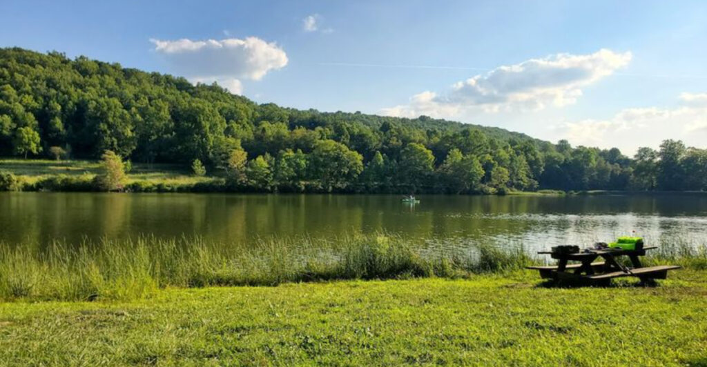 12 Pennsylvania Swimming Holes You’ll Want To Visit This Summer